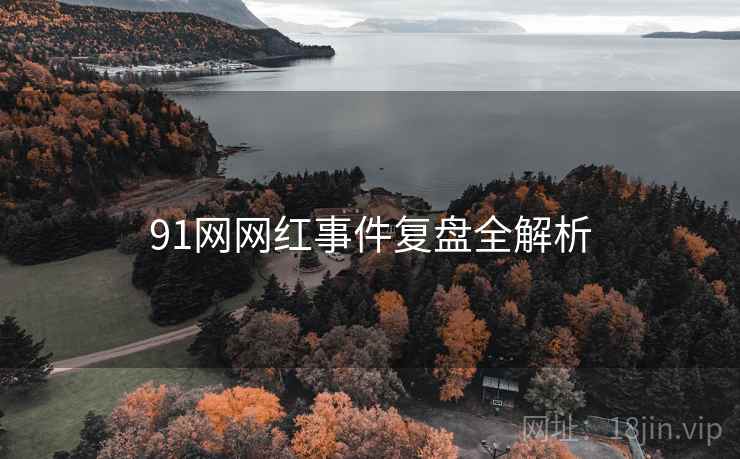 91网网红事件复盘全解析