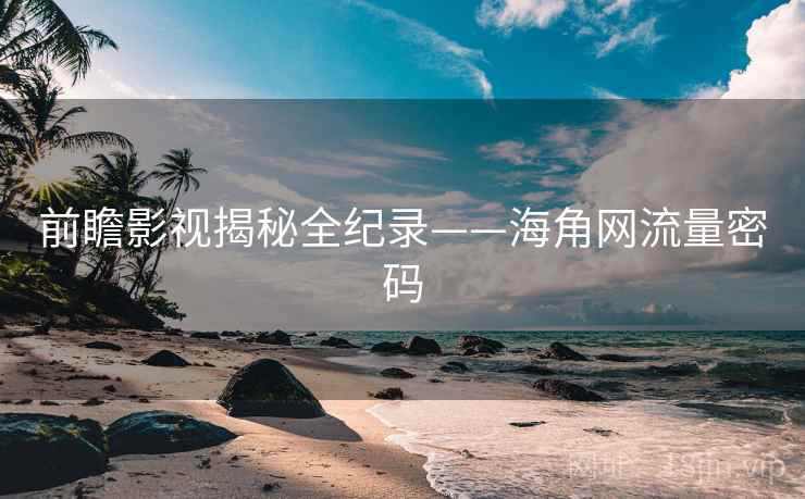 前瞻影视揭秘全纪录——海角网流量密码