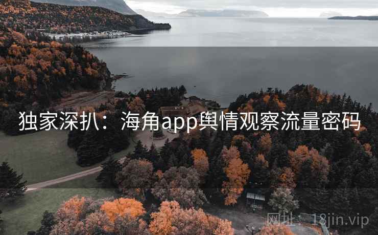 独家深扒：海角app舆情观察流量密码